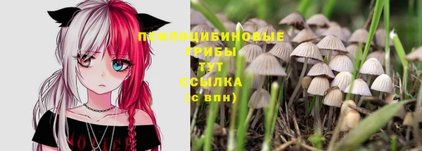 метадон Алексин