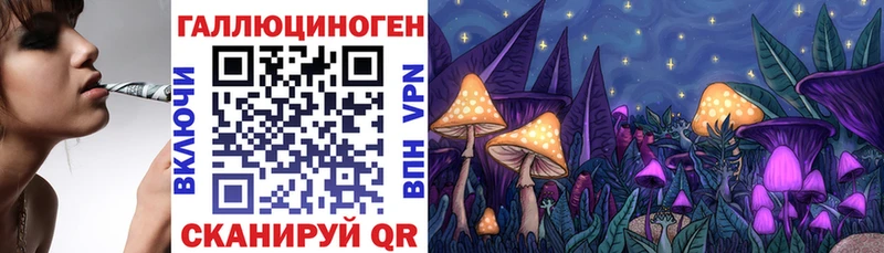 где купить наркоту  Жуков  Псилоцибиновые грибы Cubensis 